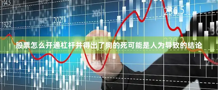 股票怎么开通杠杆并得出了狗的死可能是人为导致的结论
